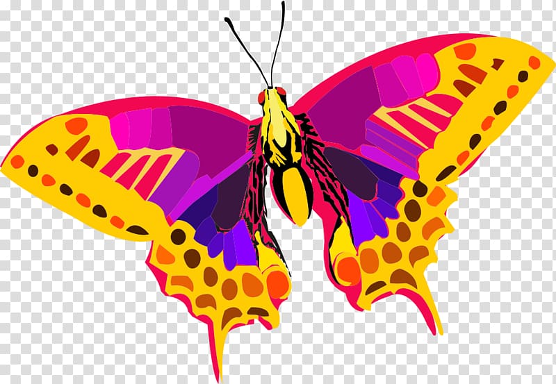Butterfly , abstract colorful transparent background PNG clipart