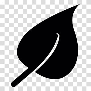 Desktop Computer Leaf, Computer transparent background PNG clipart thumbnail