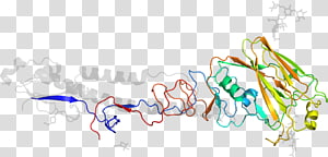 Line , design transparent background PNG clipart thumbnail