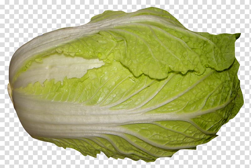 Red cabbage Romaine lettuce Napa cabbage, Napa Cabbage transparent background PNG clipart