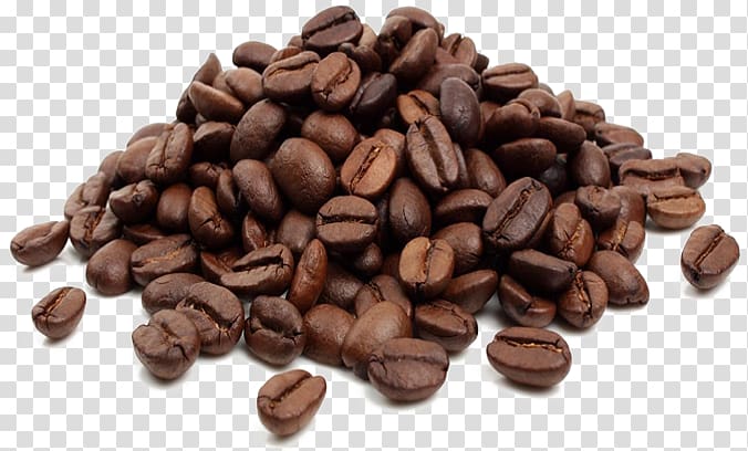 Coffee bean Cafe Tea Kopi Luwak, coffee bean tree transparent background PNG clipart