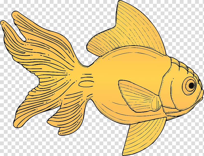 Carassius auratus Fish , Sea Animal Art transparent background PNG clipart