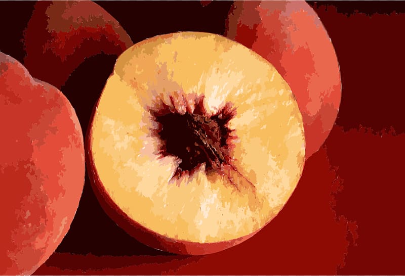 Nectarine Peaches and cream Fruit Recipe, peach transparent background PNG clipart