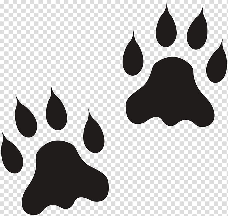 Lion Paw Open Polydactyl cat, lion transparent background PNG clipart