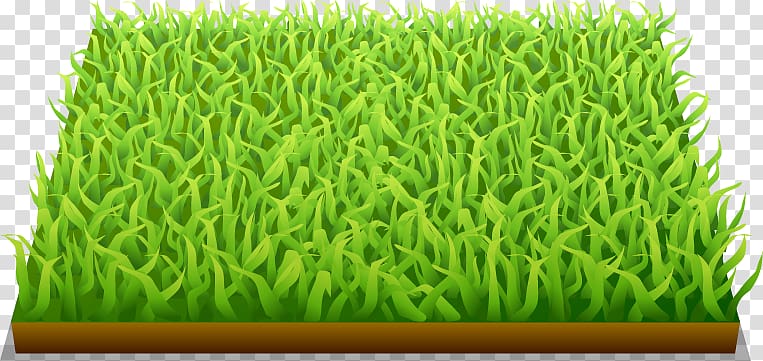 FIFA World Cup Football pitch, Barley green painted pattern transparent background PNG clipart