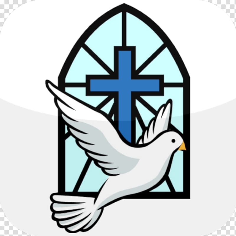 white dove illustration, Confirmation in the Catholic Church Symbol , baptism transparent background PNG clipart