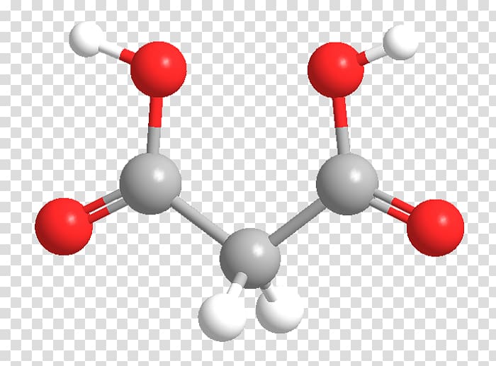 Malonic acid Dicarboxylic acid Chemistry Traumatic acid, Malic Acid transparent background PNG clipart
