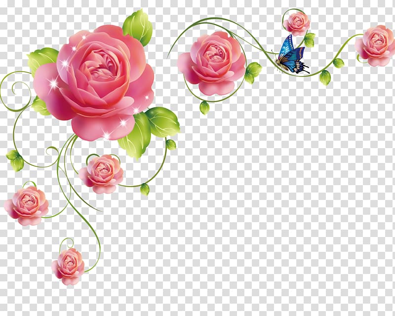 of butterfly and roses, Garden roses Beach rose Flower Pink, Rose rattan transparent background PNG clipart