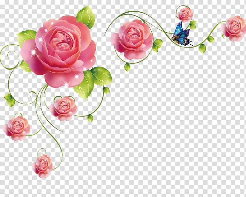 rose rattan transparent background PNG clipart