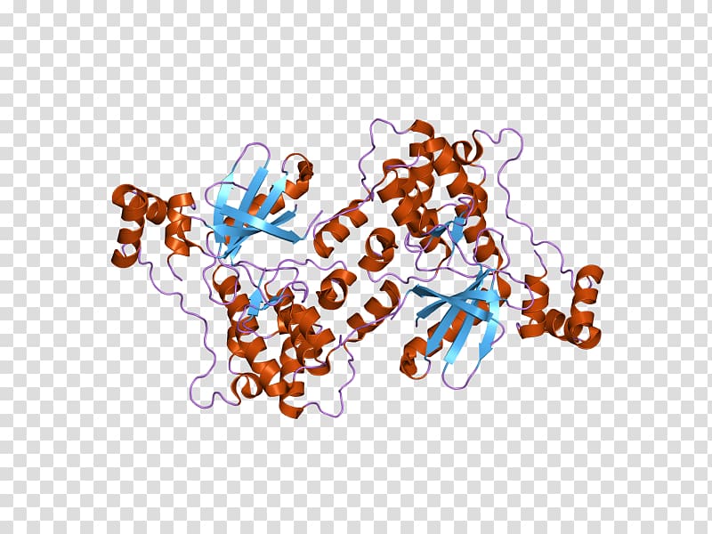 MARK2 Serine/threonine-specific protein kinase Serine/threonine-specific protein kinase Art, others transparent background PNG clipart