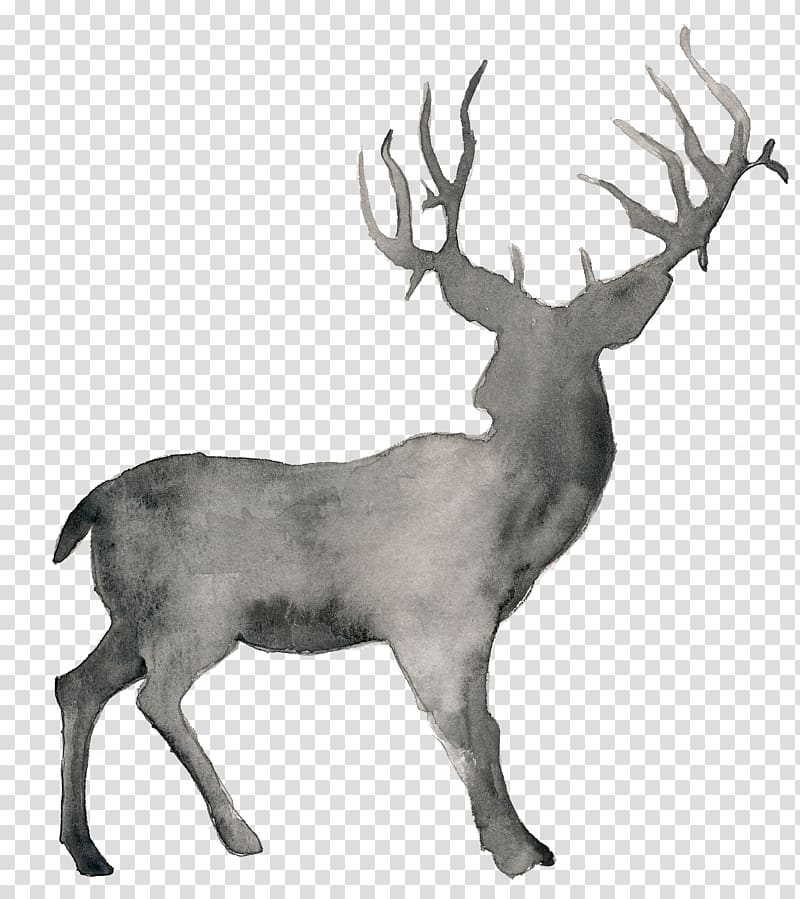 White-tailed deer T-shirt Infant Hunting, watercolor animals transparent background PNG clipart