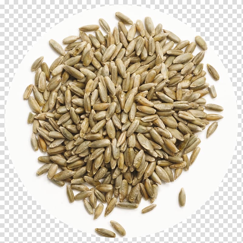 Cumin Spice Seed Dill Coriander, Risotto transparent background PNG clipart