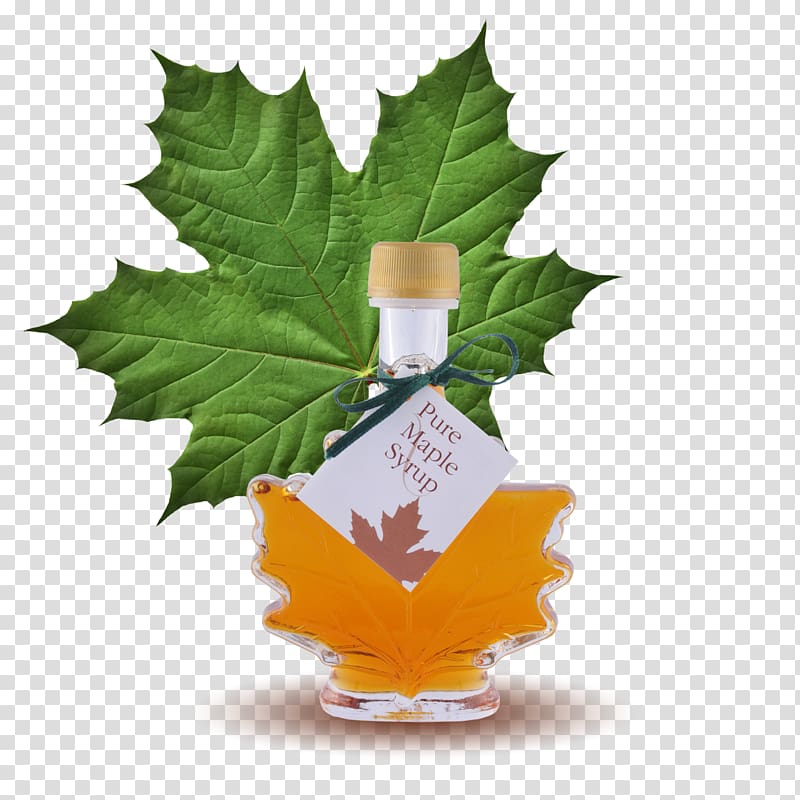 Maple syrup Lemonade Sugar substitute, syrup transparent background PNG clipart