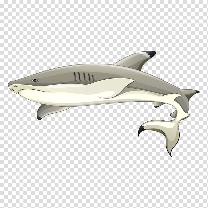 Squid Deep sea creature Fish Illustration, Gray shark transparent background PNG clipart