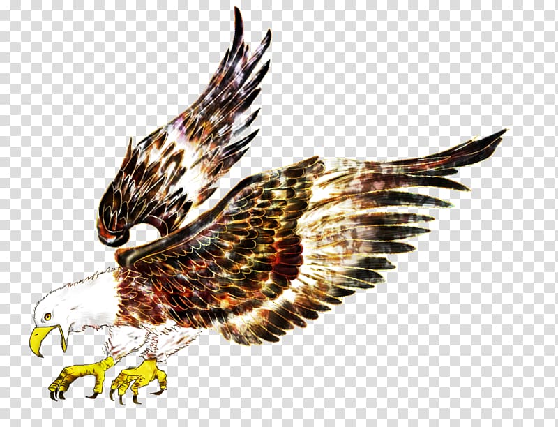 Eagle Bird Hawk Flight, Cartoon eagle pattern transparent background PNG clipart