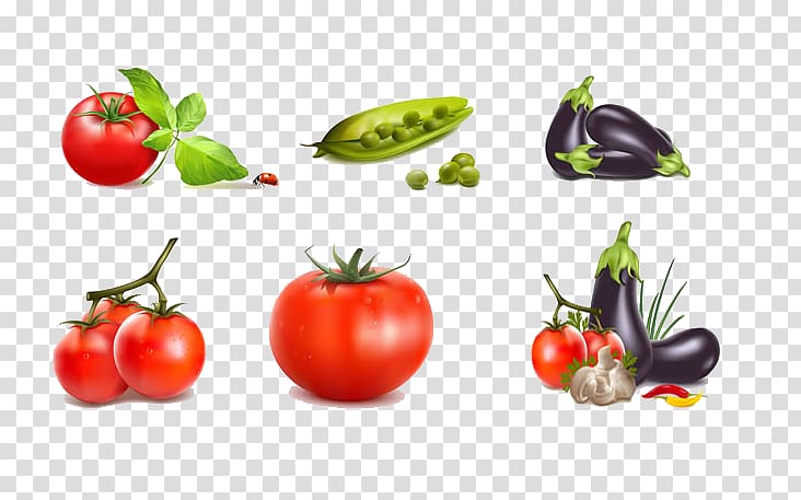 Chili con carne Vegetable Tomato Icon, Tomato and eggplant transparent background PNG clipart