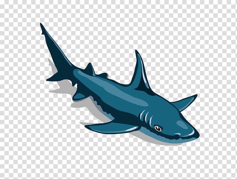Great white shark Cartoon Hammerhead shark, shark transparent background PNG clipart