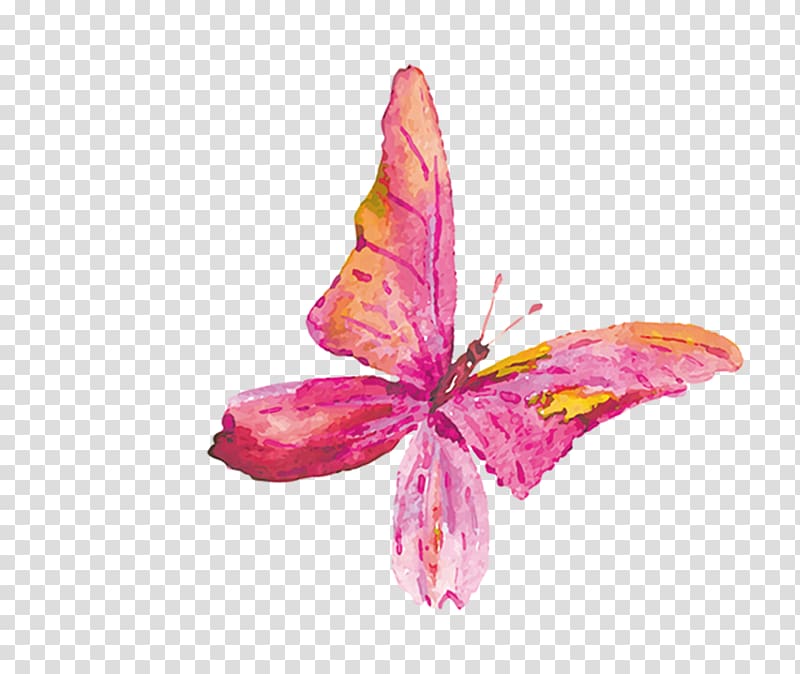 Butterfly Transparency and translucency, butterfly transparent background PNG clipart