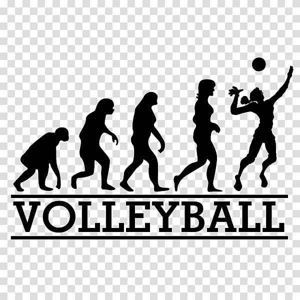 volleyball illustration, March of Progress Human evolution Running Selective breeding, play volleyball transparent background PNG clipart