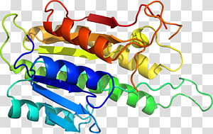 Line Point Organism , line transparent background PNG clipart thumbnail