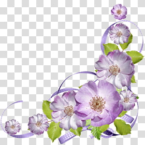 Flower , flower transparent background PNG clipart thumbnail