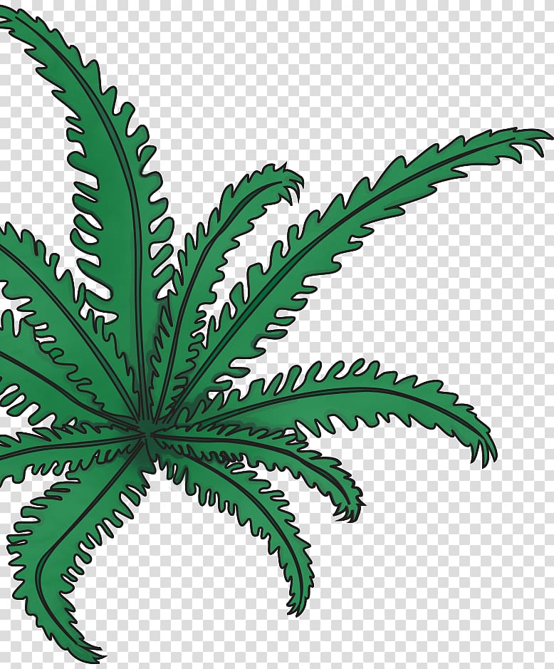 Leaf Plant stem Hemp Flowerpot Cannabis, Leaf transparent background PNG clipart