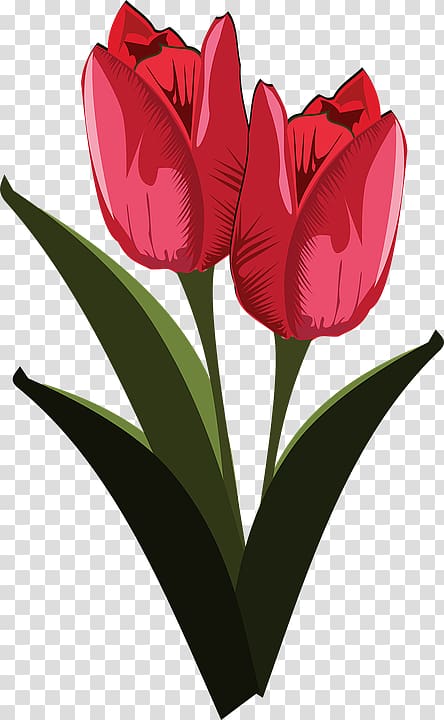 Flower , flower transparent background PNG clipart