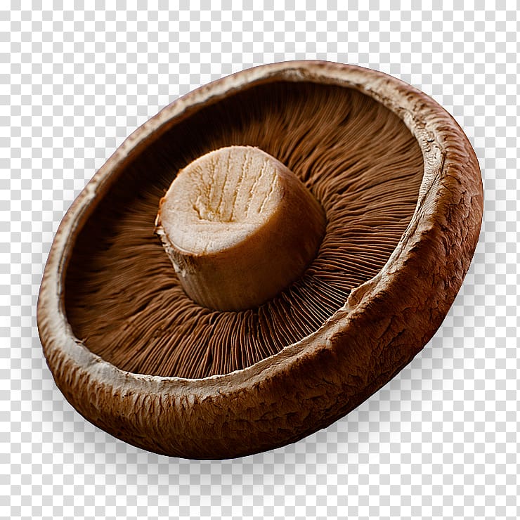 Common mushroom B vitamins Biotin Dietary supplement, shiitake mushroom transparent background PNG clipart
