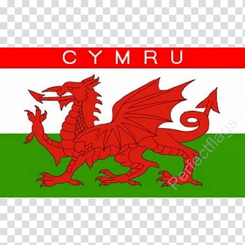Flag of Wales Welsh Dragon, Flag transparent background PNG clipart