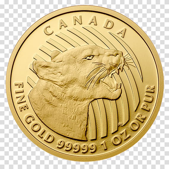 Gold coin Krugerrand Bullion coin, world vision canada transparent background PNG clipart