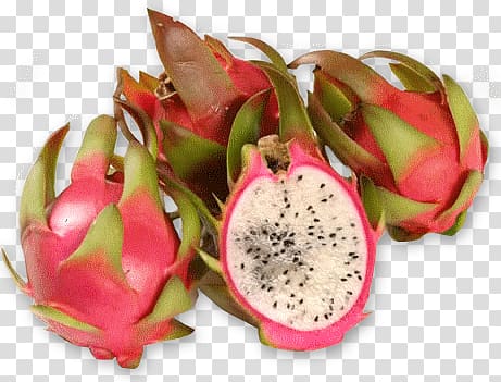 Pitaya South America Fruit .com, others transparent background PNG clipart