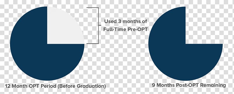 Optional Practical Training Employment authorization document H-1B visa Organization Permanent residence, graduation quarter deduction transparent background PNG clipart