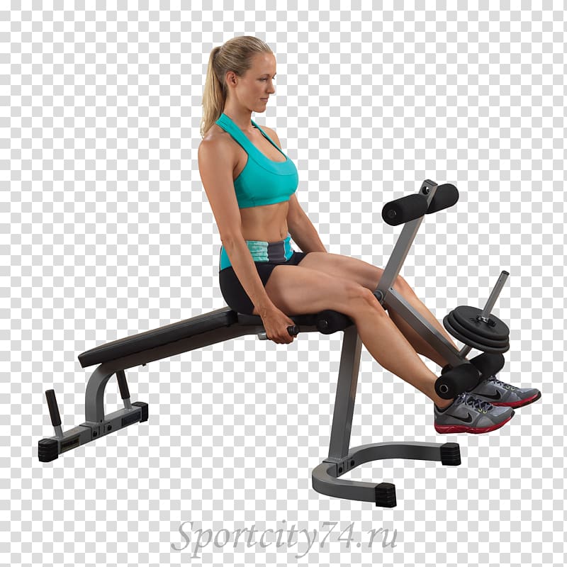 Leg curl Bench Leg extension Biceps curl Exercise, lunges transparent background PNG clipart