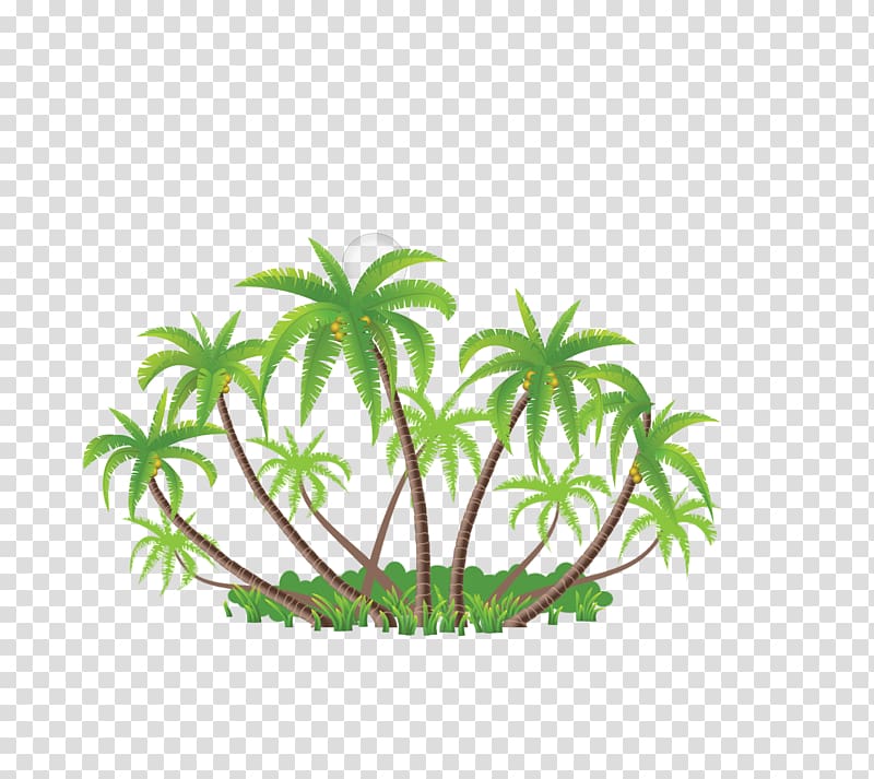 Coconut Arecaceae Euclidean Illustration, green coconut collection transparent background PNG clipart