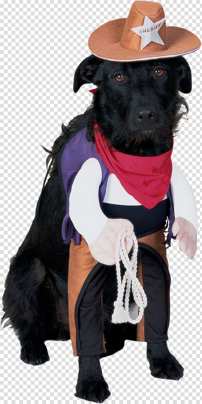 Dog Halloween costume Costume party, Dog transparent background PNG clipart