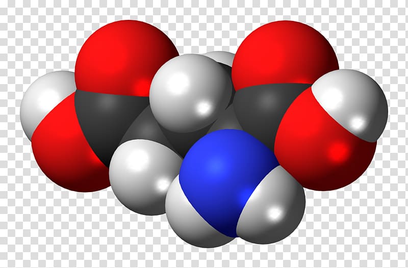 Glutamic acid Glutamine Amino acid Glutamate Space-filling model, others transparent background PNG clipart