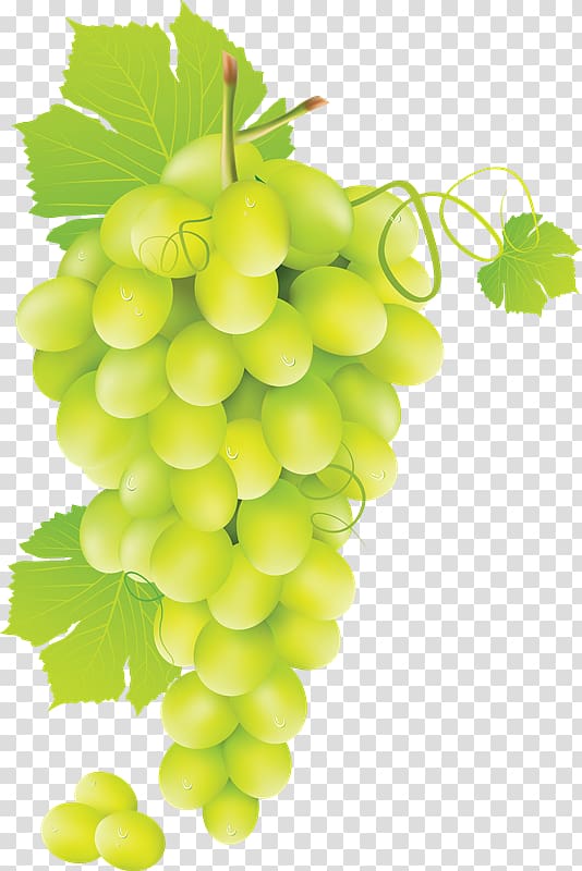 Chenin blanc White wine Grape, 72 transparent background PNG clipart