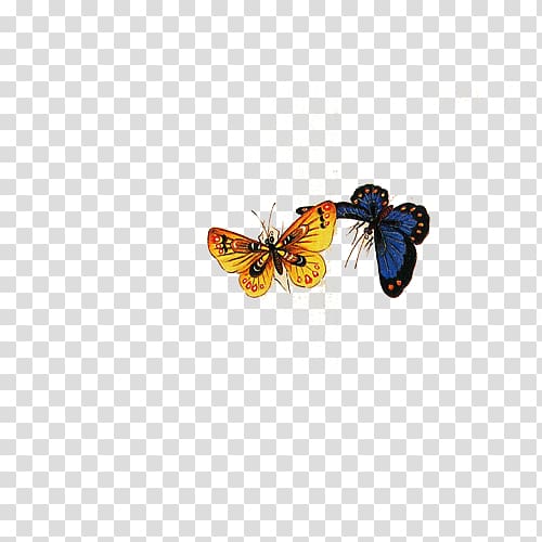 Monarch butterfly , butterfly transparent background PNG clipart
