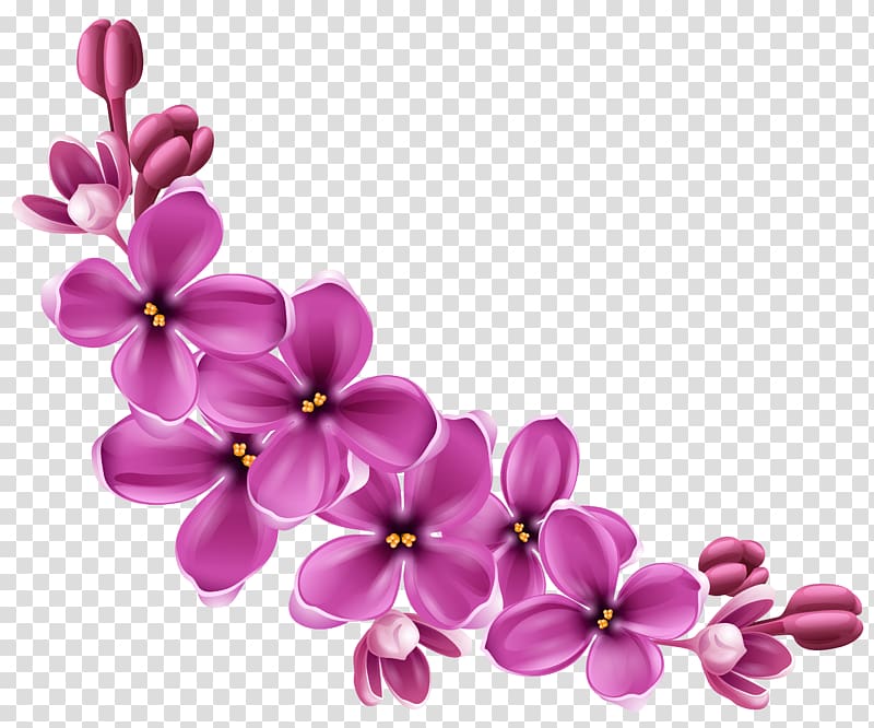 Flower , Spring Pink Floral Decor , purple flowers painting transparent  background PNG clipart | HiClipart