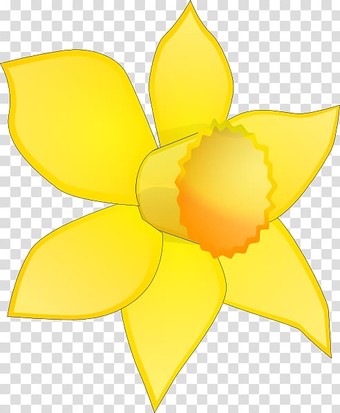 Daffodil Flower Free content , Daffodils transparent background PNG clipart