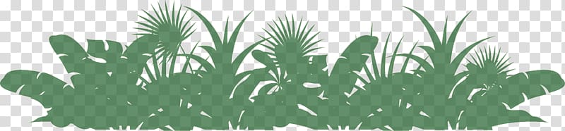 Los Angeles Zoo Tropical rainforest BestZoo Cleveland Metroparks Zoo, jungle forest transparent background PNG clipart