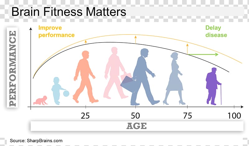 Alzheimer's disease Brain Evolution Biology, Brain transparent background PNG clipart