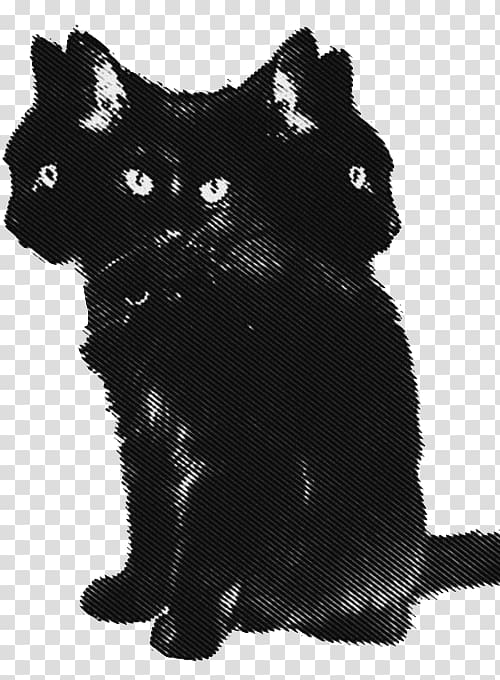 Black cat Le Chat Noir Animal, 香港 transparent background PNG clipart