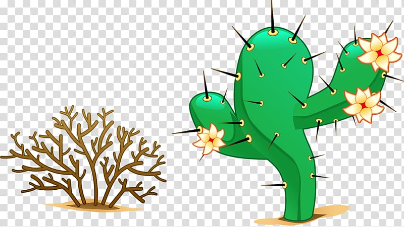 Desert , Desert Cactus transparent background PNG clipart