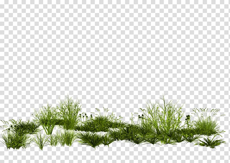 GIMP Rendering Scape, Creative green grass transparent background PNG clipart