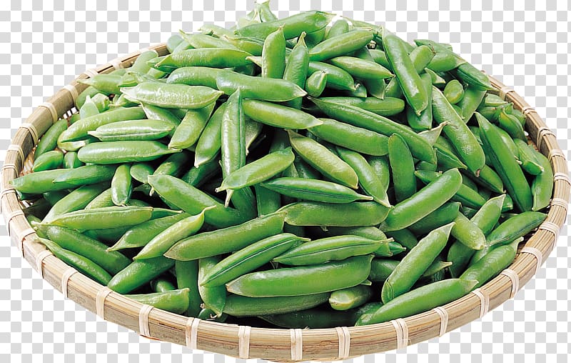 Common Bean Pea Lima bean Vegetarian cuisine Vegetable, beans transparent background PNG clipart