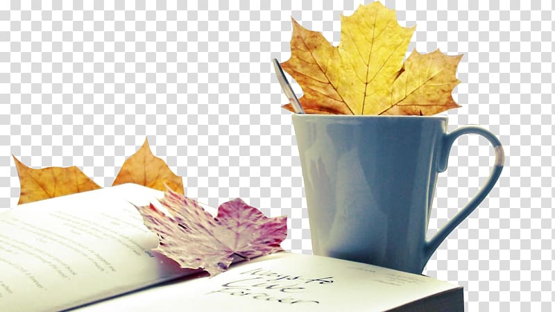 Desktop metaphor Display resolution Autumn Computer , Free time transparent background PNG clipart