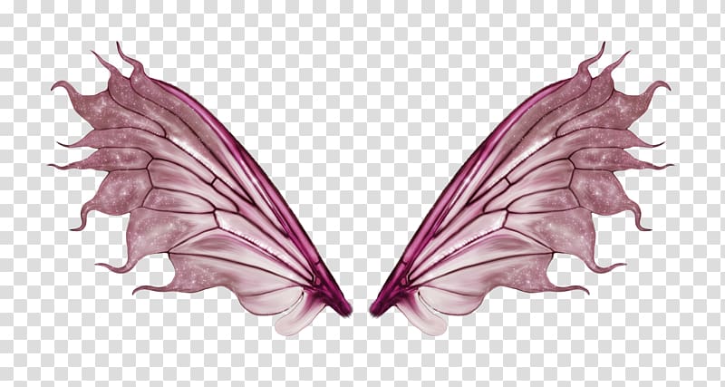 two gray wings illustration, Butterfly, wing transparent background PNG clipart