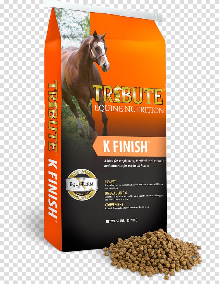 Horse Equine nutrition Pelletizing Pet, horse transparent background PNG clipart