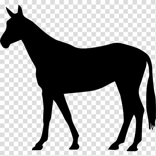 Arabian horse American Quarter Horse Black Forest Horse Stallion Percheron, Standing Horse transparent background PNG clipart